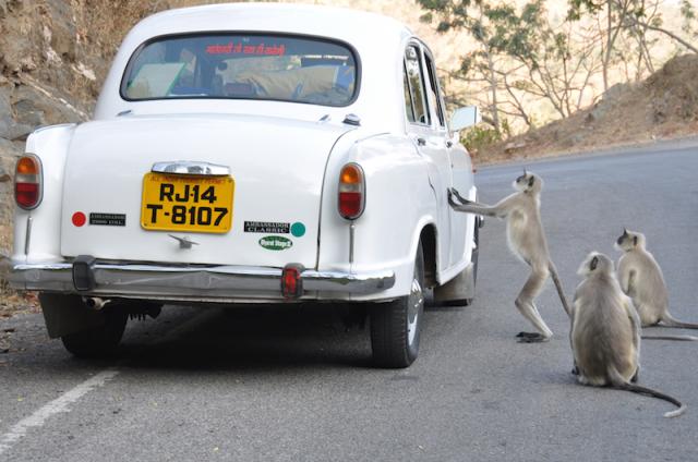 Our former Ambassador car
